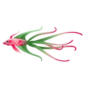 Spring Time Mystic Streamer